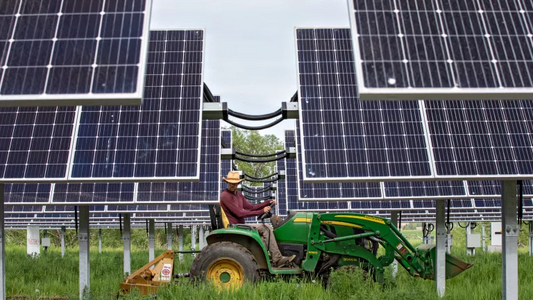 Farming Solar: What are Agrivoltaics