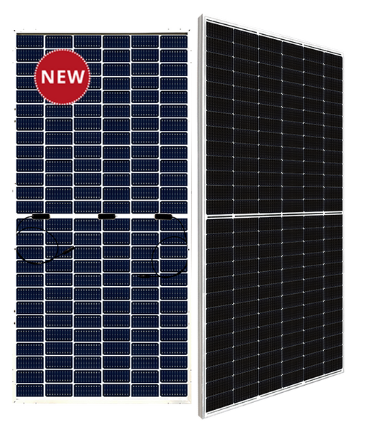 BiHiKu6_grande.png?v=1727311475